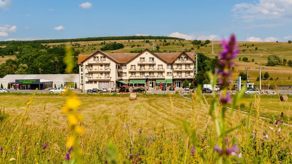 Hotel Dumbrava Rupea Εξωτερικό φωτογραφία